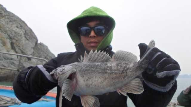 20일 조황 사진 14