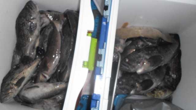 20일 조황 사진 19