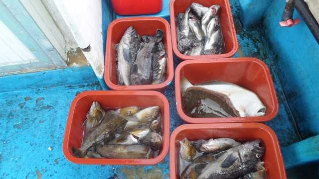 4월 2일 10분 단체 사진 29