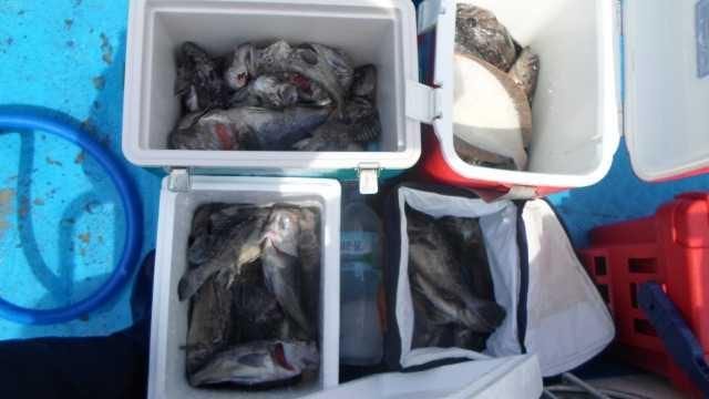 5월5일 단체조황 사진 29