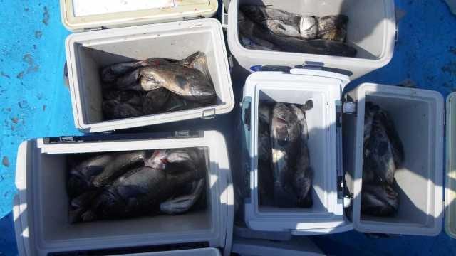 5월 13일 조황 사진 21