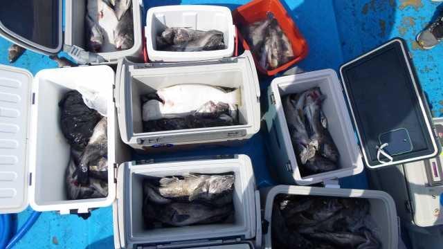 14일  단체 굿  1부 사진 1
