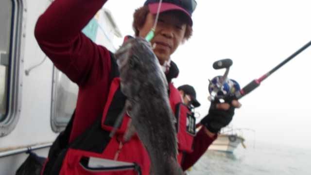14일 조황 사진 2