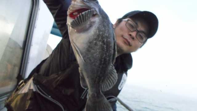 14일 조황 사진 7