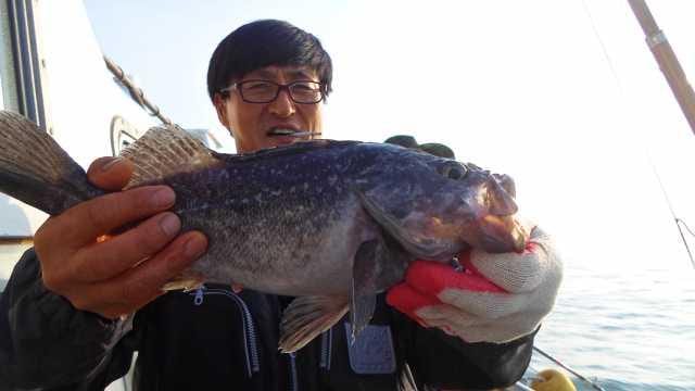 14일 조황 사진 8