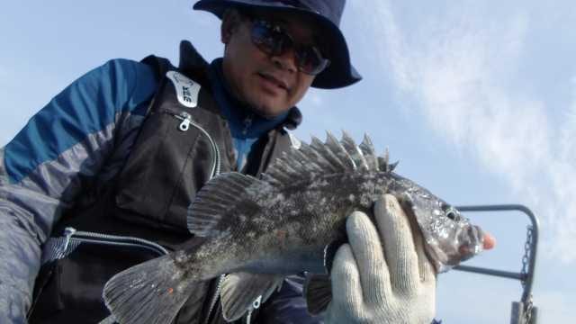 14일 조황 사진 13