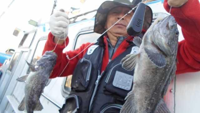 17일 조황 사진 11