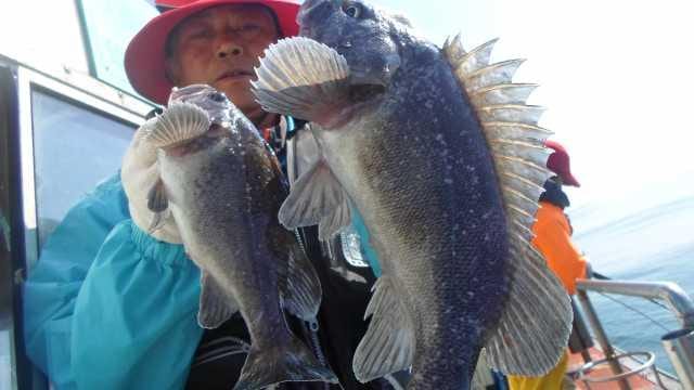 18일 조황 사진 1