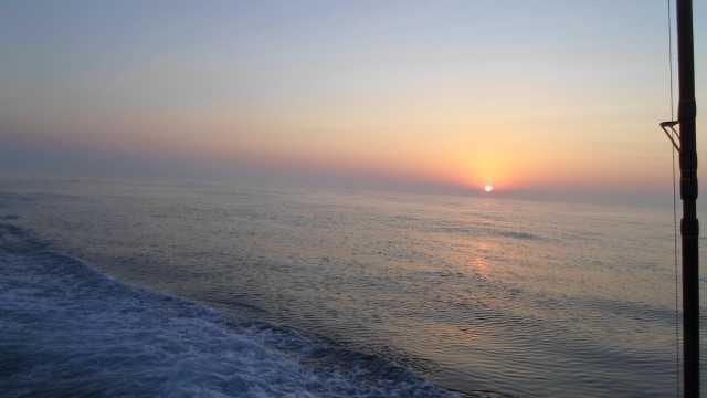 18일 조황 사진 2