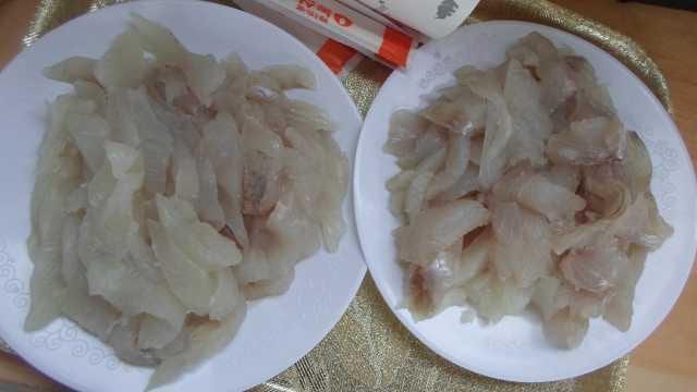 18일 조황 사진 15