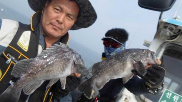 21일 조황 사진 4