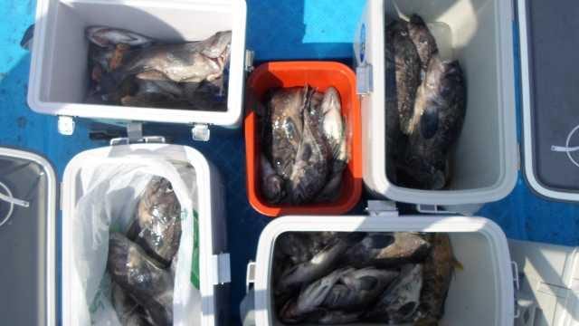 21일 조황 사진 20