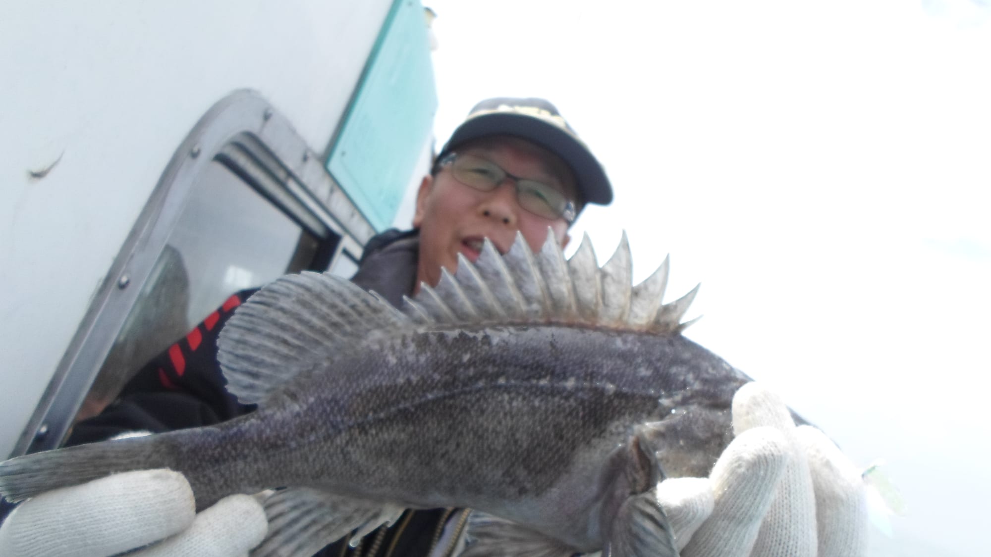 28일 단체조황 사진 9