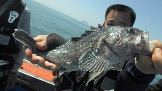 28일 단체조황 사진 20