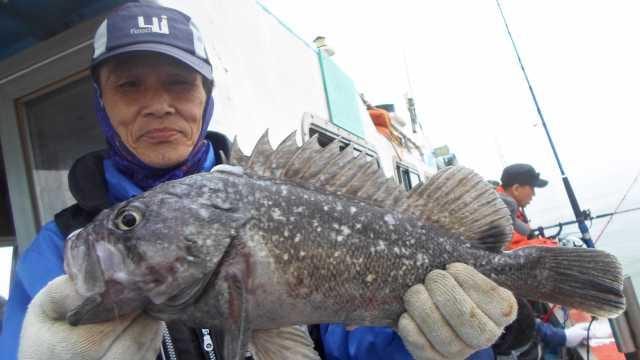 29일 조황 사진 4
