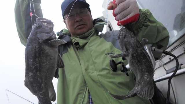 29일 조황 사진 8
