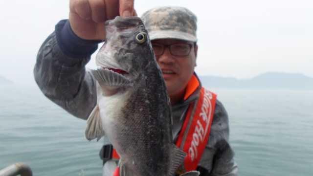 29일 조황 사진 10