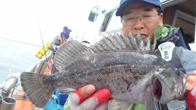 29일 조황 사진 15