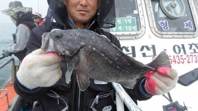 29일 조황 사진 18