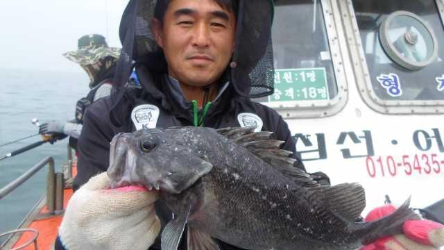 29일 조황 사진 19