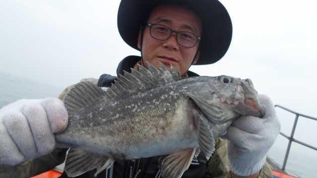29일 조황 사진 20