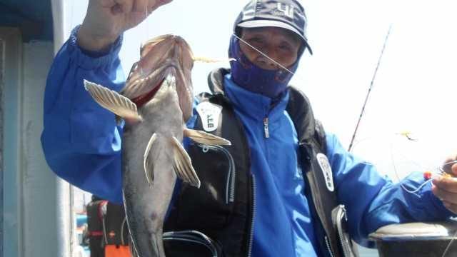 29일 조황 사진 22