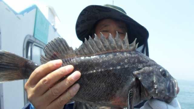 29일 조황 사진 23