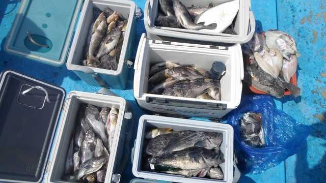 30일 6분조황 사진 2