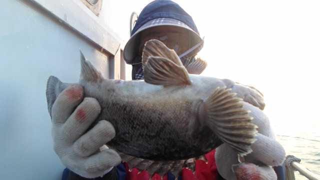 30일 6분조황 사진 3