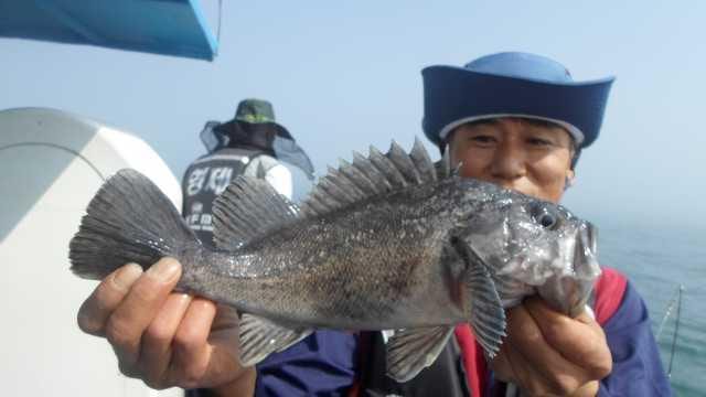 30일 6분조황 사진 6