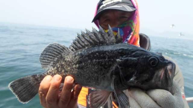 30일 6분조황 사진 8