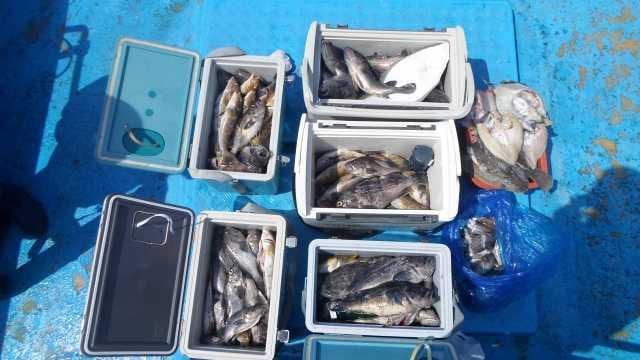 30일 6분조황 사진 15