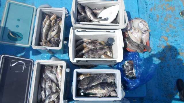 30일 6분조황 사진 16