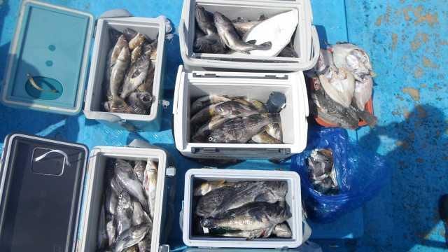 30일 6분조황 사진 1