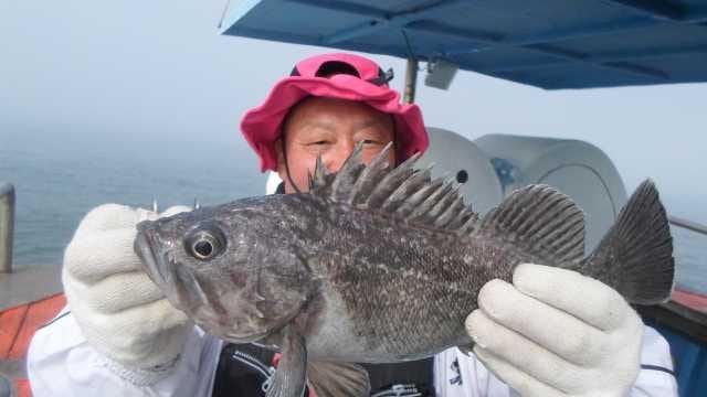 31일 오전5분 조황 사진 5