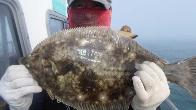 31일 오전5분 조황 사진 6