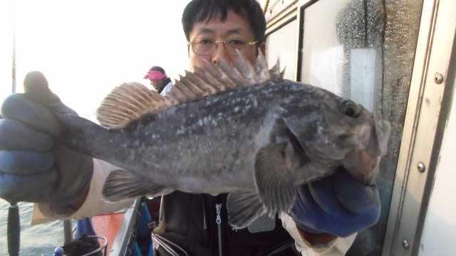 31일 오전5분 조황 사진 10