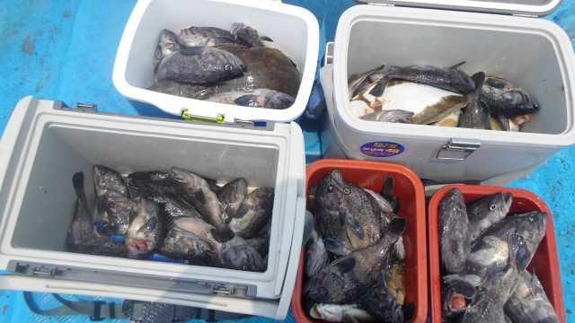 31일 오전5분 조황 사진 1