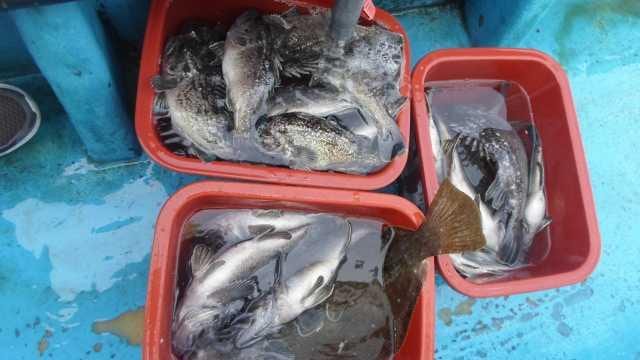 5일 단체조황 사진 11