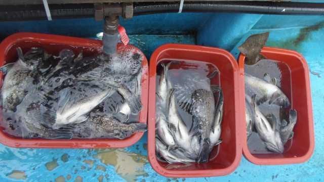 5일 단체조황 사진 12