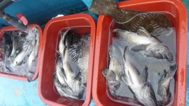 5일 단체조황 사진 13