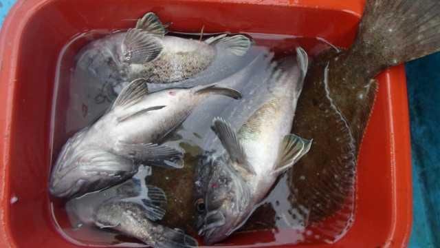5일 단체조황 사진 14