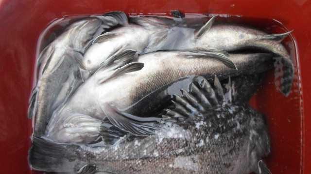 5일 단체조황 사진 15