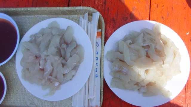 5일 단체조황 사진 17