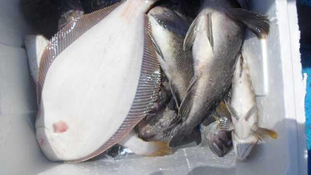 5일 단체조황 사진 19