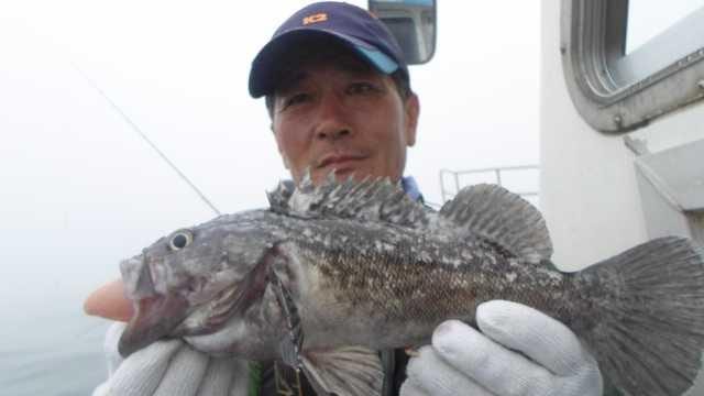 12일 우럭 조황 사진 5