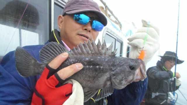 12일 우럭 조황 사진 8