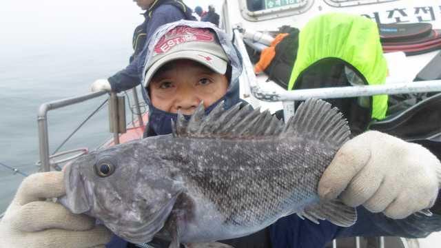 12일 우럭 조황 사진 10