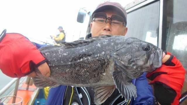 12일 우럭 조황 사진 14