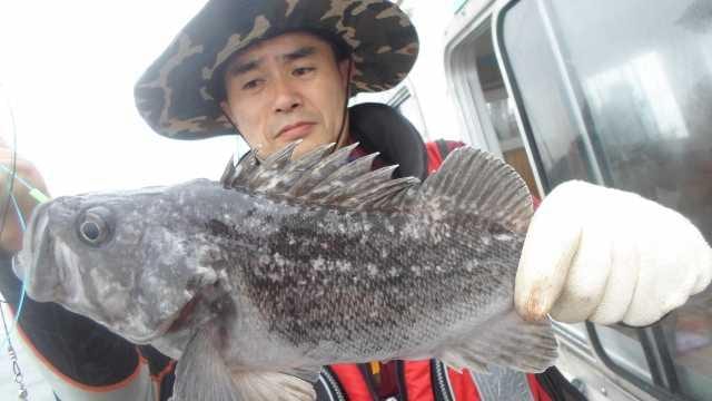 12일 우럭 조황 사진 17